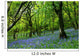 bluebell fairyland Wall Mural