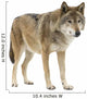 Young Wolf Staring at Its Pray Wall Decal