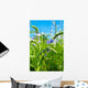Spring Flowers Wall Decal