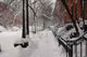 Snowy Brooklyn Wall Mural