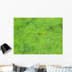 Frog Duckweed Wall Decal