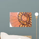 fossil ammonite Wall Mural