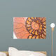 fossil ammonite Wall Mural