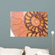 fossil ammonite Wall Mural