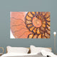 fossil ammonite Wall Mural
