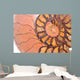 fossil ammonite Wall Mural