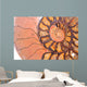 fossil ammonite Wall Mural