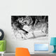 Wild Wolves Wall Mural
