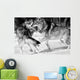 Wild Wolves Wall Mural