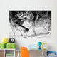 Wild Wolves Wall Mural