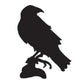 Black Crow or Raven Wall Decal