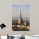 Turin Wall Mural