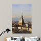 Turin Wall Mural