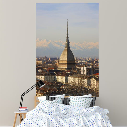Turin Wall Mural