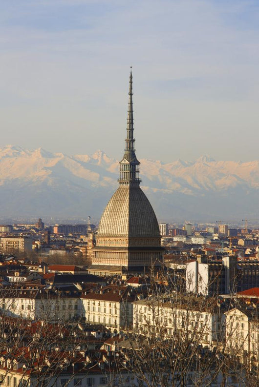 Turin Wall Mural