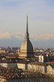 Turin Wall Mural