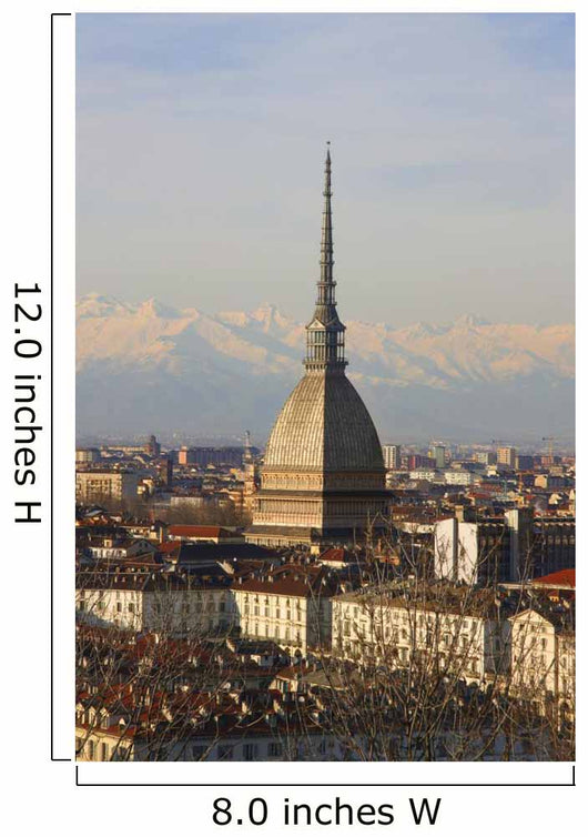 Turin Wall Mural