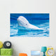 white dolphin in the pool Wall Mural