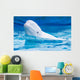white dolphin in the pool Wall Mural