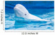 white dolphin in the pool Wall Mural