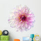 Pink Dahlia Wall Decal