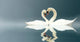 Love Swans Wall Mural