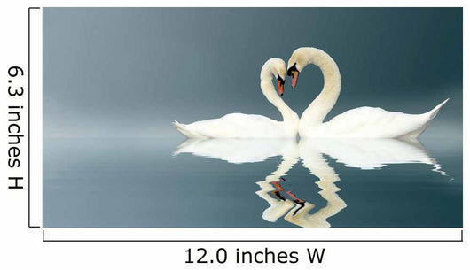Love Swans Wall Mural