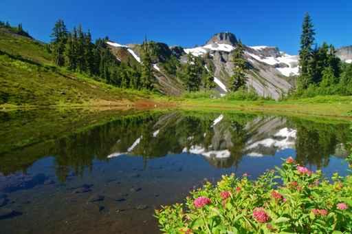 Peak Reflections Wall Decal Design 4