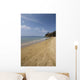 Sandy Beach Wall Decal