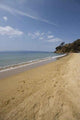 Sandy Beach Wall Decal