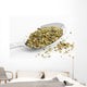 Oregano Wall Mural