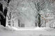 Winter Storm Wall Decal