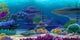 Deep Under Water Wall Mural