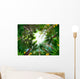 Illustration of Tropical Forest Wall Mural