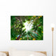 Illustration of Tropical Forest Wall Mural