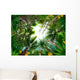 Illustration of Tropical Forest Wall Mural