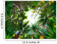 Illustration of Tropical Forest Wall Mural