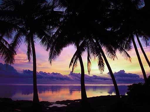 Vsit Addu Small but Wall Decal