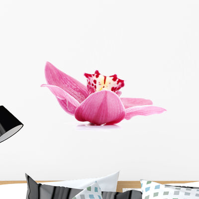 Beautiful Pink Orchid Wall Decal shown on a wall