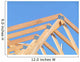 Roof Truss Wall Mural