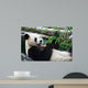 Eating Panda Wall Mural