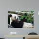 Eating Panda Wall Mural