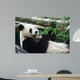 Eating Panda Wall Mural