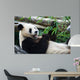 Eating Panda Wall Mural