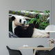 Eating Panda Wall Mural