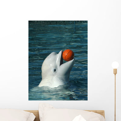 White Whale Playing Basketball Wall Mural shown on a wall