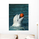 White Whale Playing Basketball Wall Mural