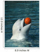 White Whale Playing Basketball Wall Mural