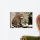 European Wildcat Wall Mural