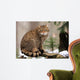 European Wildcat Wall Mural